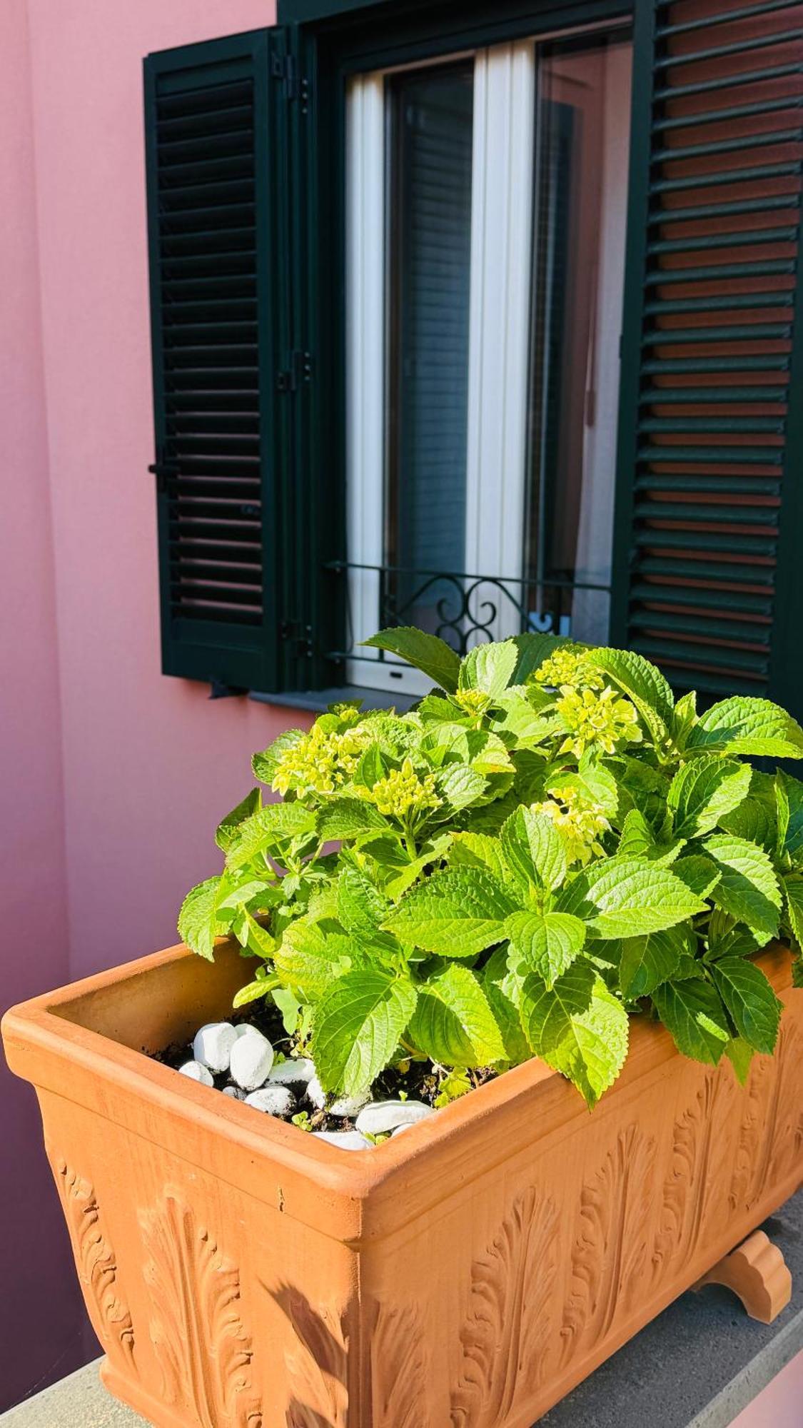 La Maison Rose Maiori Exterior photo